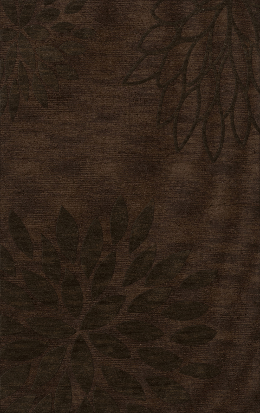 Brown Transitional Leaves Petals Area Rug Floral DV17 - Picture 29 of 35