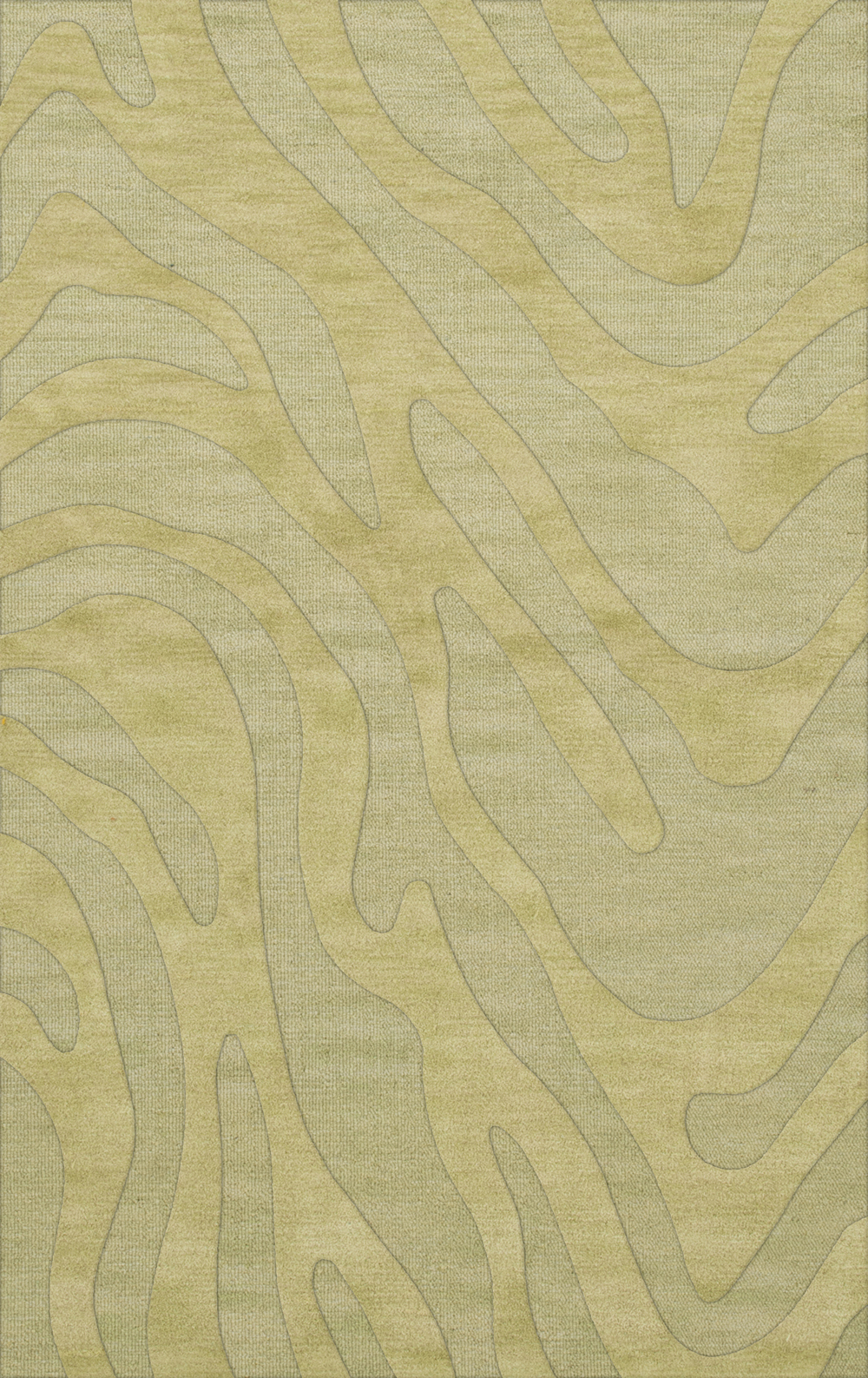 Green Swirls Lines Stripes Transitional Area Rug Animal Print DV2 - Picture 35 of 35